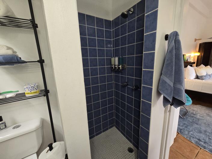 Image No.54-5 Bed House/Villa for sale