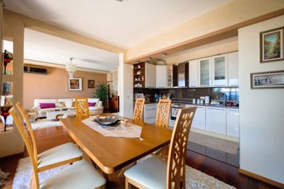 9-villa-in-zeleni-pojas-bar