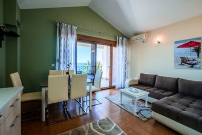 11-villa-in-zeleni-pojas-bar