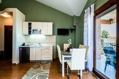 12-villa-in-zeleni-pojas-bar