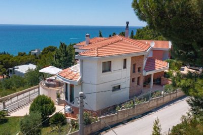 2-villa-in-zeleni-pojas-bar