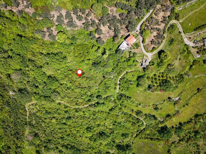 Image No.9-Terre à vendre à Dobre Vode