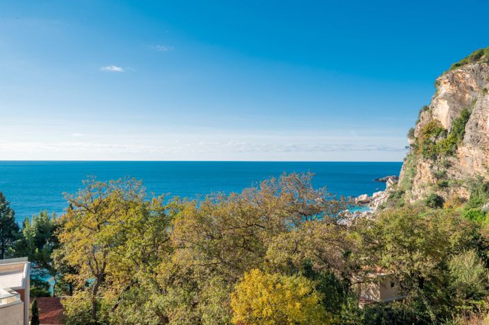 Image No.21-Villa de 4 chambres à vendre à Budva