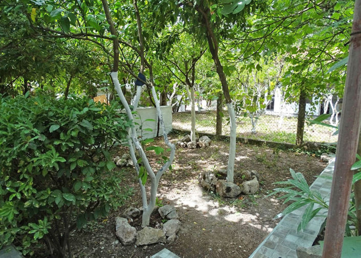 Image No.6-Maison de 2 chambres à vendre à Kotor