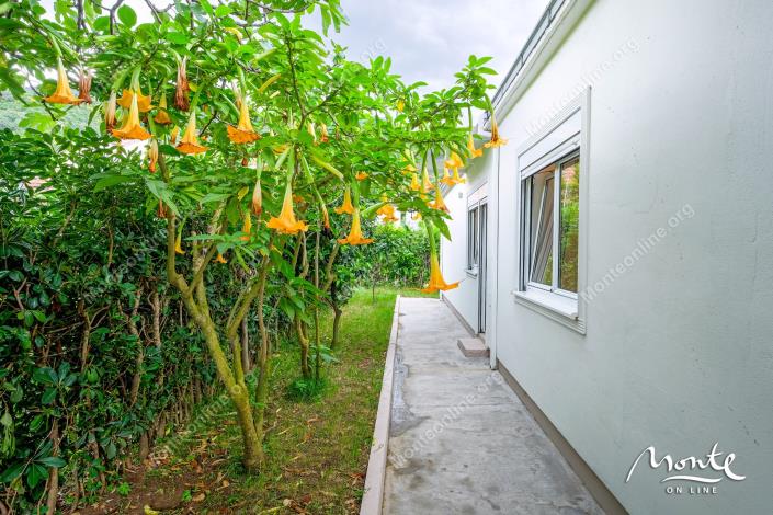 Image No.17-Maison de 4 chambres à vendre à Tivat