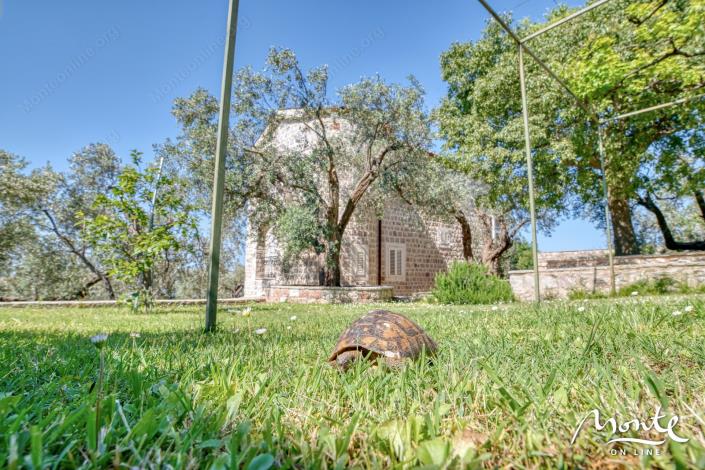 Image No.20-Maison de 4 chambres à vendre à Budva
