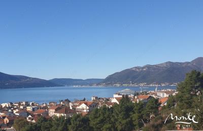 izobrazhenie_viber_2024-01-04_16-00-53-475