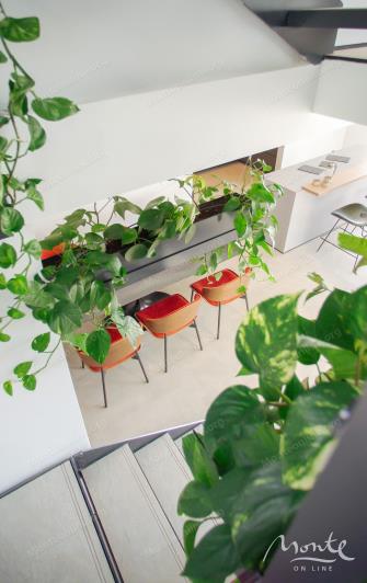 Image No.18-Villa de 4 chambres à vendre à Budva