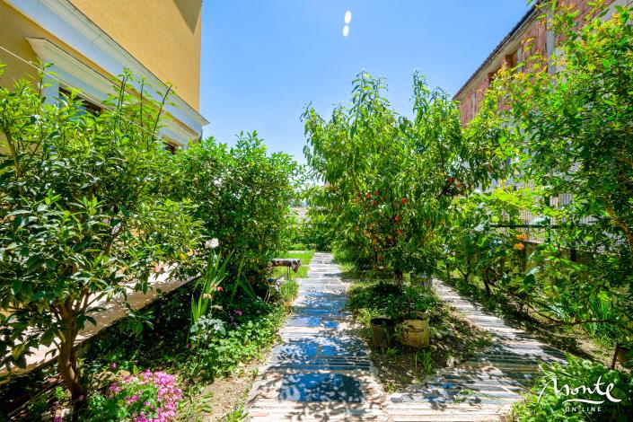 Image No.15-6 Bed House for sale