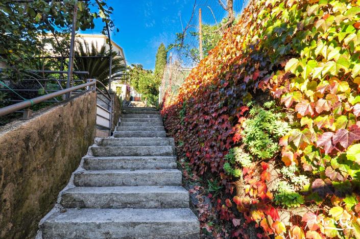 Image No.22-Maison de 7 chambres à vendre à Budva