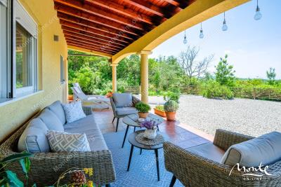 dom-s-panoramnym-vidom-bolshim-uchastkom-i-sadom-nedaleko-ot-budvy_05