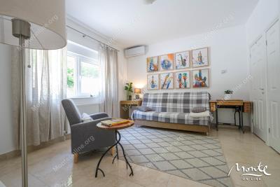 dom-s-panoramnym-vidom-bolshim-uchastkom-i-sadom-nedaleko-ot-budvy_10