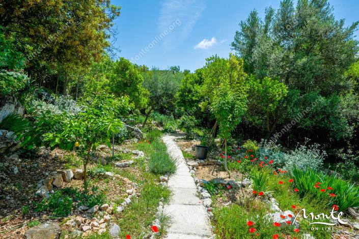 Image No.16-Maison de 4 chambres à vendre à Budva