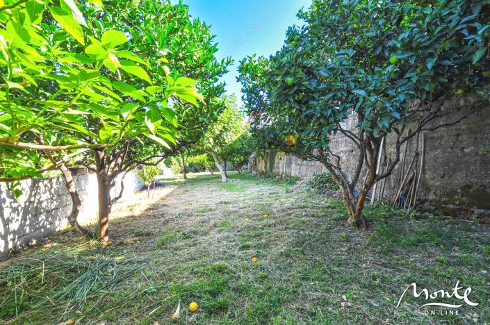 Image No.17-Maison de 4 chambres à vendre à Prcanj