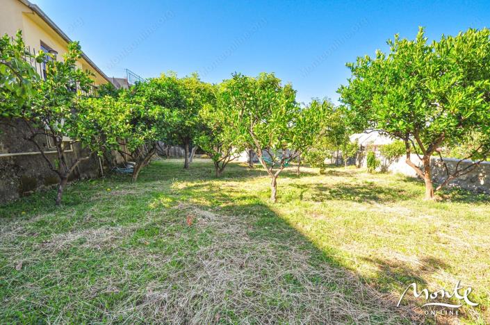 Image No.19-Maison de 4 chambres à vendre à Prcanj