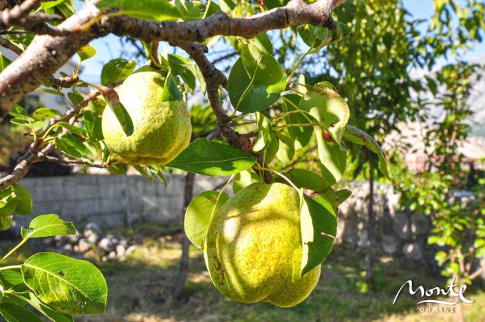 Image No.20-Maison de 4 chambres à vendre à Prcanj