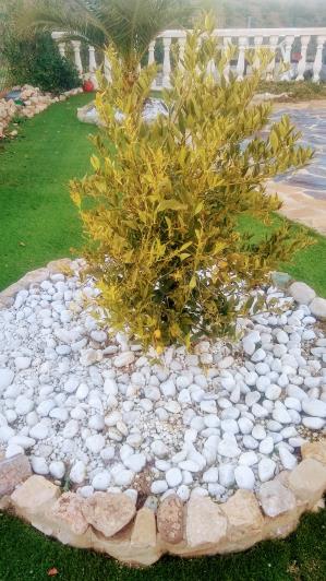 Image No.12-Maison de campagne de 3 chambres à vendre à Malaga