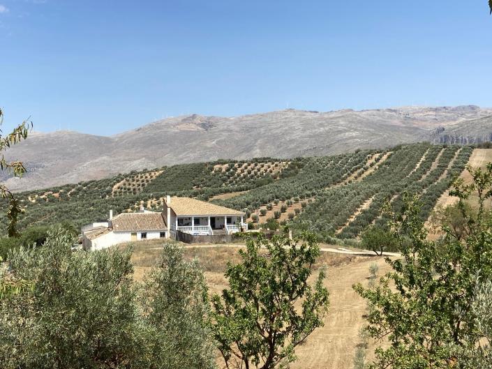 Image No.5-Maison de campagne de 3 chambres à vendre à Malaga