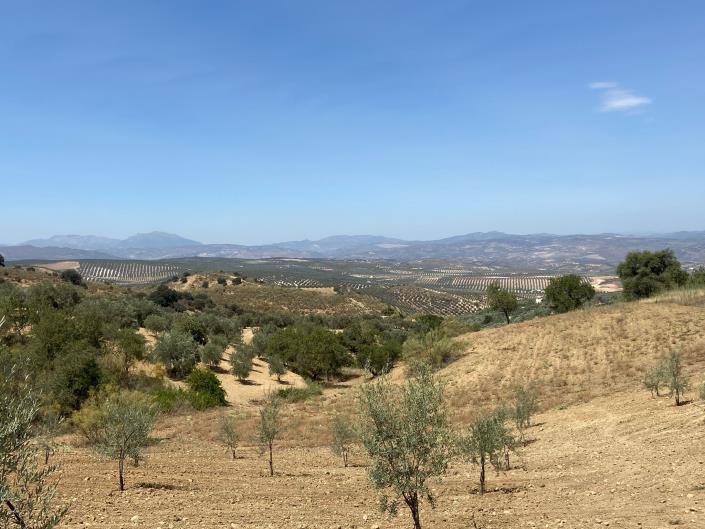 Image No.6-Maison de campagne de 3 chambres à vendre à Malaga
