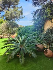 PHOTO-2025-06-12-23-41-40-3