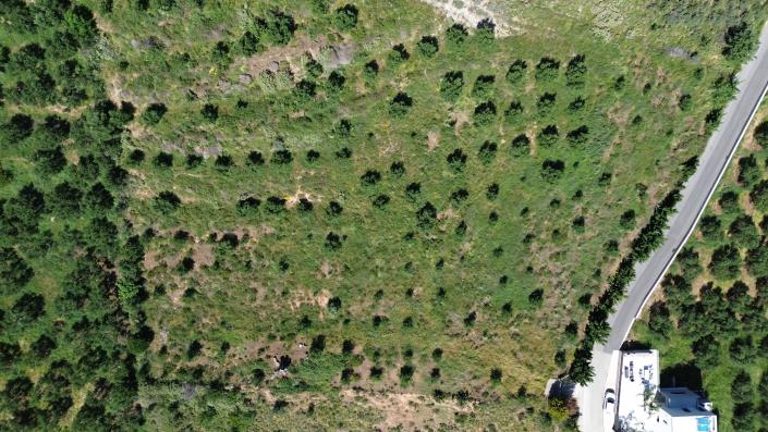 Image No.4-4 Bed Plot for sale