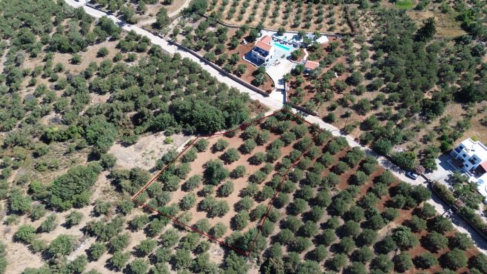 Image No.5-8 Bed Plot for sale