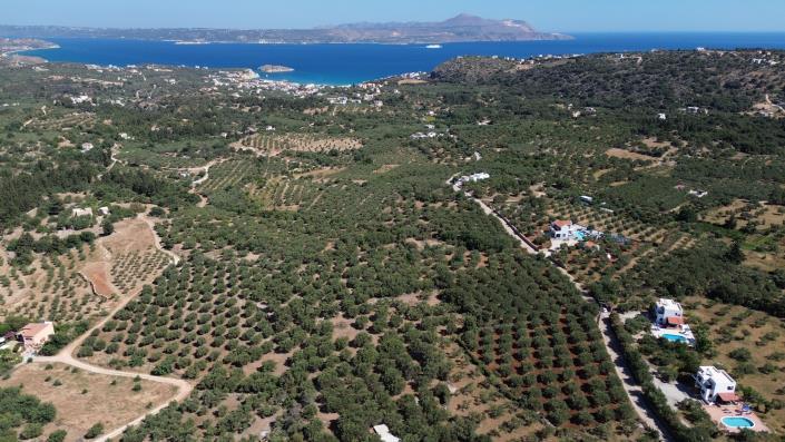 Image No.7-8 Bed Plot for sale