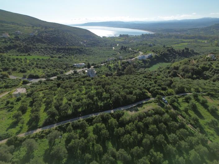 Image No.18-5 Bed Plot for sale