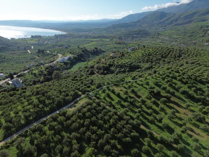 Image No.6-5 Bed Plot for sale