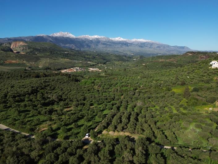 Image No.5-5 Bed Plot for sale