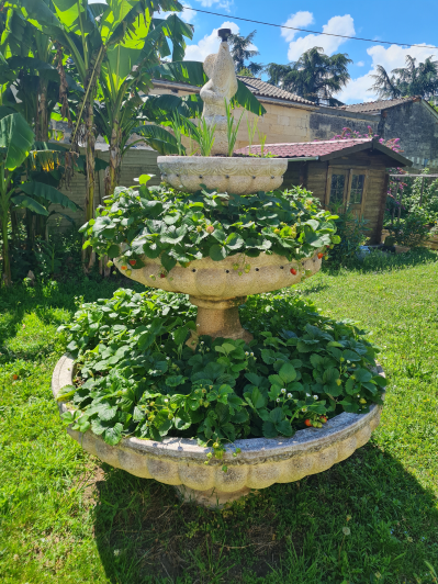 Image No.30-Maison / Villa de 4 chambres à vendre à Izon