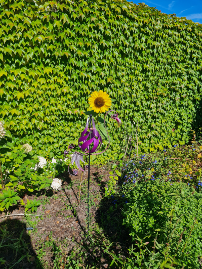 Image No.24-Maison / Villa de 4 chambres à vendre à Izon