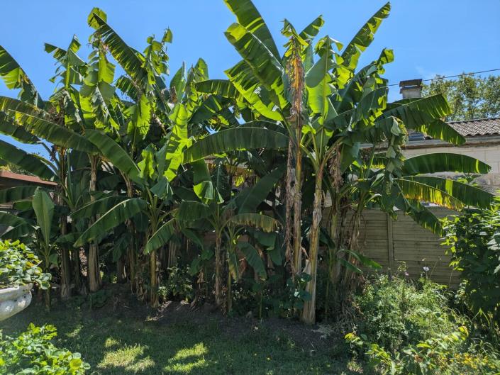 Image No.31-Maison / Villa de 4 chambres à vendre à Izon