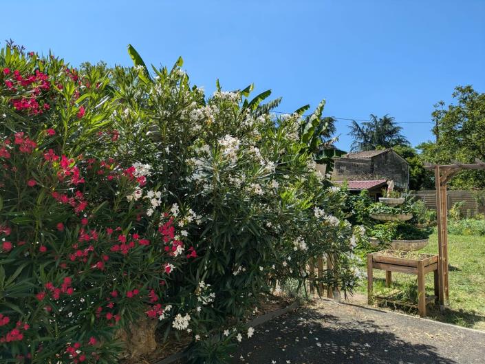 Image No.32-Maison / Villa de 4 chambres à vendre à Izon