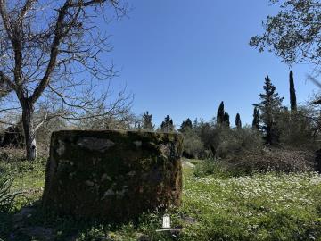 acreage-for-sale-in-corfu-ano-korakiana