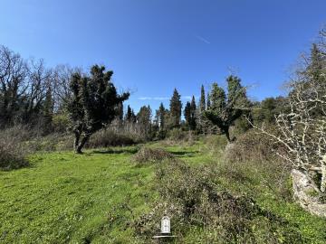 beautiful-landscape-for-sale-in-corfu