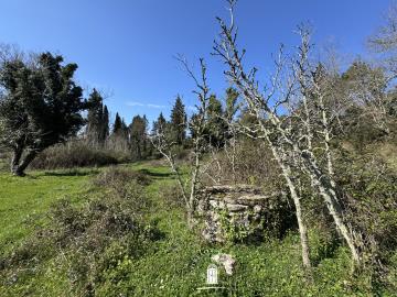 build-your-dream-property-corfu-ano-korakiana