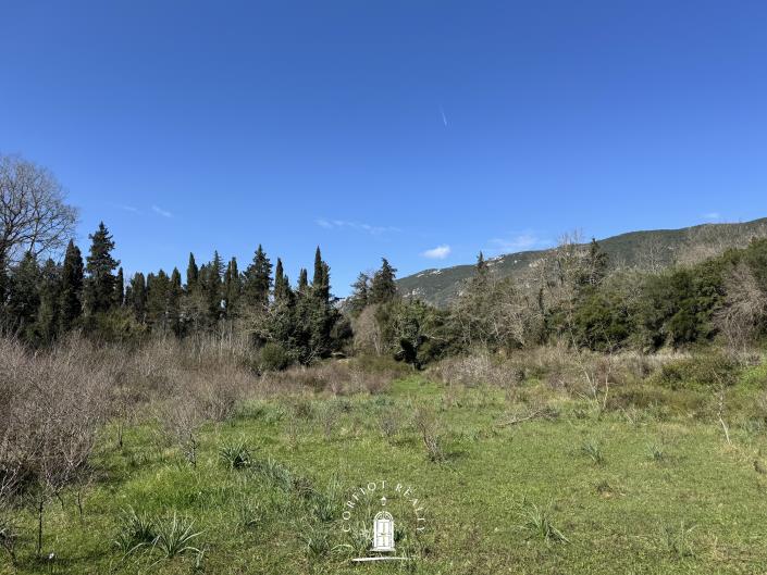 Image No.7-Terre à vendre à Ano Korakiana