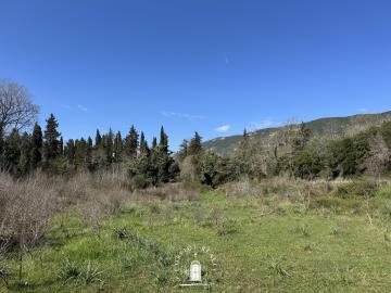 corfu-property-for-sale-flat-land-ano-korakiana