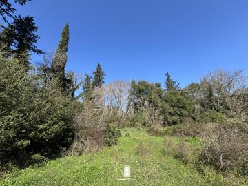 land-for-sale-corfu-ano-korakiana-with-views