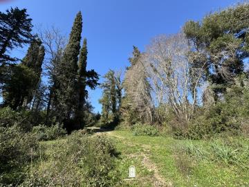 land-for-sale-in-corfu-with-character