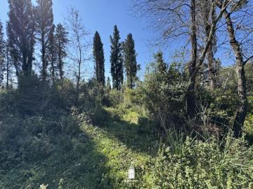 prime-land-for-sale-corfu-ano-korakiana