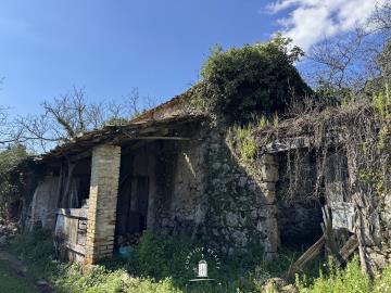 property-with-olive-trees-for-sale-in-corfu