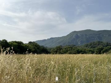 amazing-mountain-view-corfu-land-for-sale