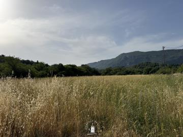 corfu-land-for-sale-close-to-town