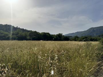 corfu-land-for-sale-flat-plot