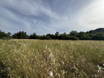 corfu-land-for-sale-north-location