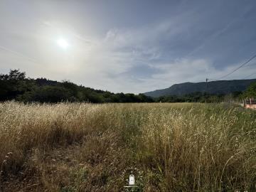 corfu-land-for-sale-open-terrain