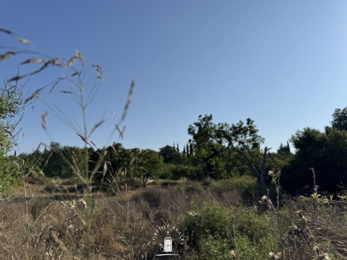 Image No.4-Terre à vendre à Ano Korakiana