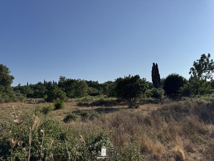 Image No.6-Terre à vendre à Ano Korakiana